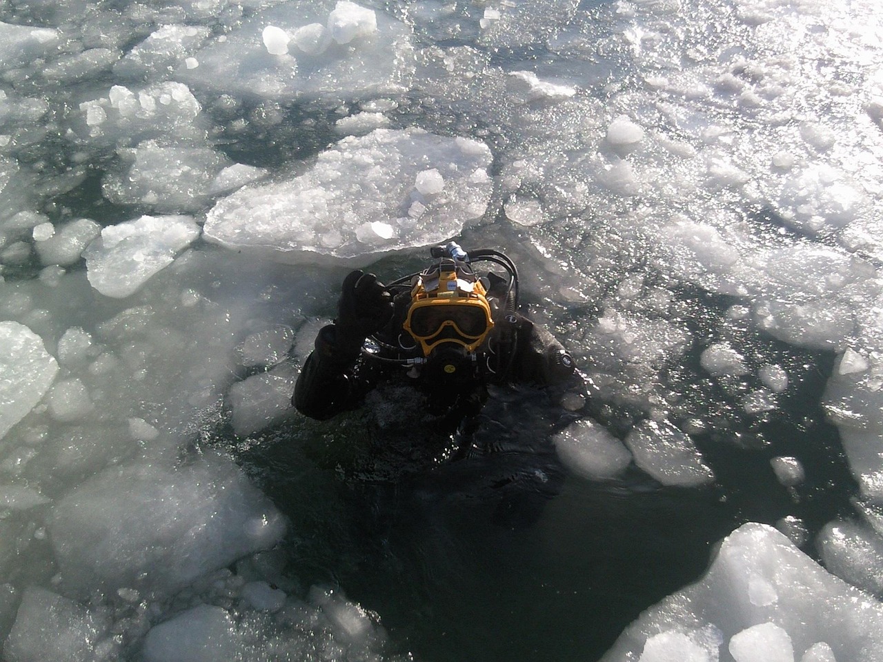 Genetic Adaptation to Diving: The Haenyeo Women of South Korea