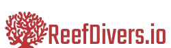 ReefDivers logo